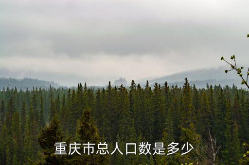 重慶市總人口數是多少