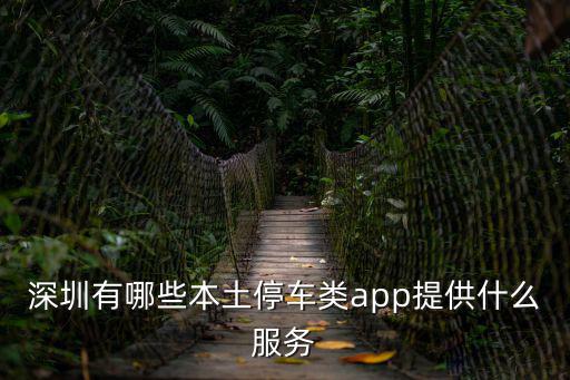 深圳市寶合停車科技，深圳有哪些本土停車類app提供什么服務