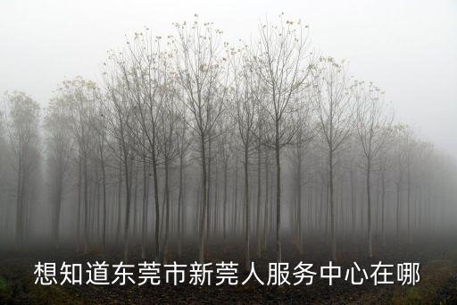 想知道東莞市新莞人服務(wù)中心在哪