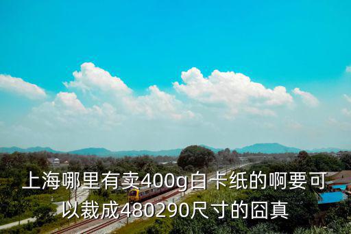 上海哪里有賣400g白卡紙的啊要可以裁成480290尺寸的囧真