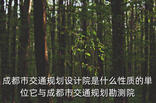 成都市交通規(guī)劃設計院是什么性質(zhì)的単位它與成都市交通規(guī)劃勘測院