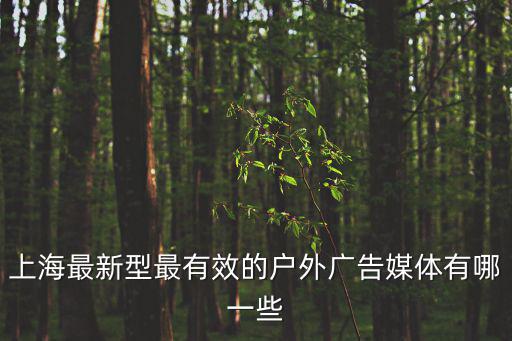 上海最新型最有效的戶外廣告媒體有哪一些