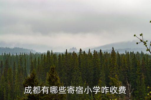 成都有哪些寄宿小學咋收費