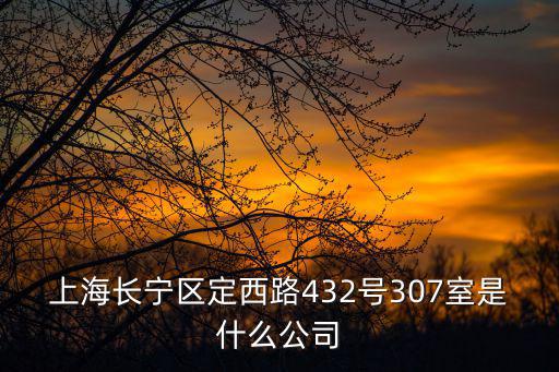 上海市長寧區(qū)黃金城道，上海長寧區(qū)定西路432號307室是什么公司