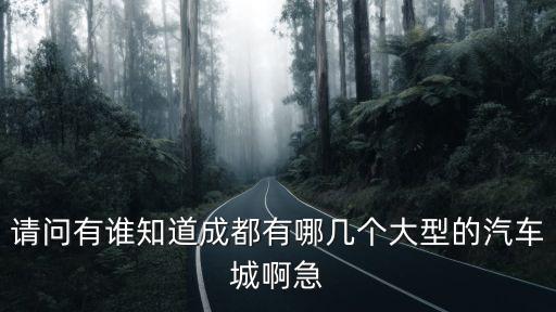 請問有誰知道成都有哪幾個大型的汽車城啊急