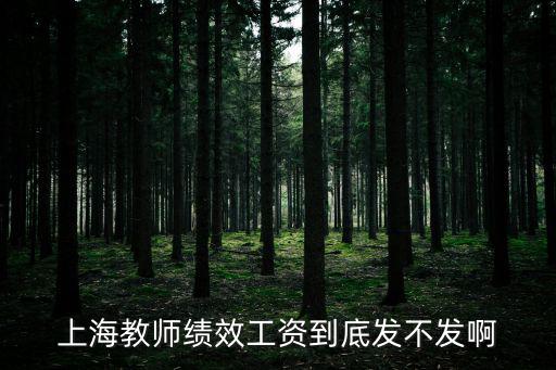 上海教師績效工資到底發不發啊