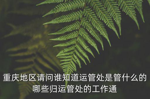 重慶地區請問誰知道運管處是管什么的哪些歸運管處的工作通