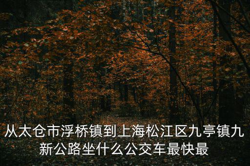 從太倉市浮橋鎮到上海松江區九亭鎮九新公路坐什么公交車最快最