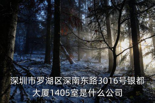 深圳市羅湖區深南東路3016號銀都大廈1405室是什么公司