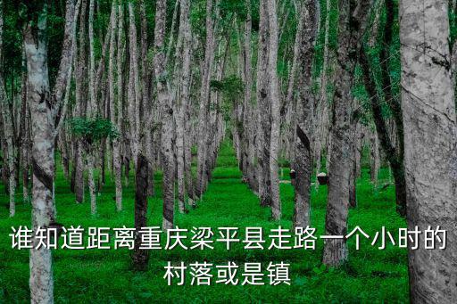 重慶市梁平縣黃橋村，重慶的梁平有個叫黃家橋的地方 嗎啊