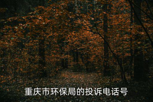 重慶市環保局陳剛才，我在重慶人和變電站附近買了套房子變電站發出地噪聲一天24小時不
