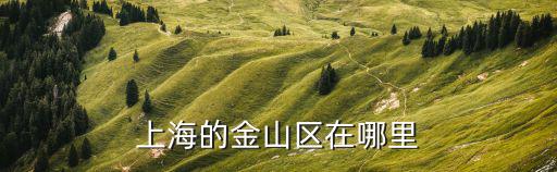 上海市金山區的中心鎮，上海的金山區在哪里