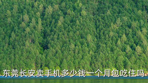 東莞長安賣手機多少錢一個月包吃住嗎