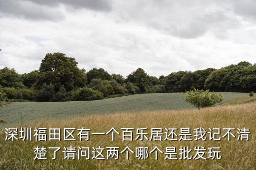 深圳福田區(qū)有一個百樂居還是我記不清楚了請問這兩個哪個是批發(fā)玩