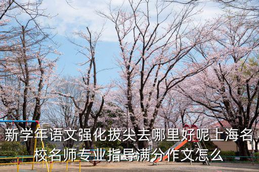 新學(xué)年語文強(qiáng)化拔尖去哪里好呢上海名校名師專業(yè)指導(dǎo)滿分作文怎么