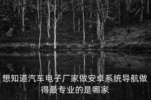 想知道汽車電子廠家做安卓系統導航做得最專業的是哪家