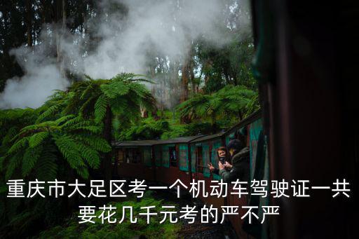 重慶市大足區考一個機動車駕駛證一共要花幾千元考的嚴不嚴