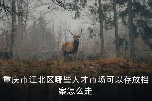 重慶市江北區哪些人才市場可以存放檔案怎么走
