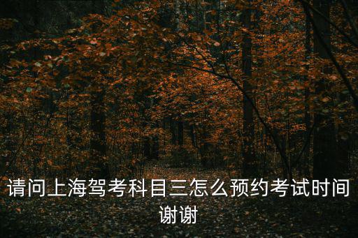 請問上海駕考科目三怎么預約考試時間謝謝