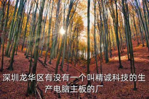 深圳龍華區(qū)有沒有一個(gè)叫精誠科技的生產(chǎn)電腦主板的廠