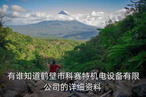  有誰知道鶴壁市科賽特機電設備有限公司的詳細資料