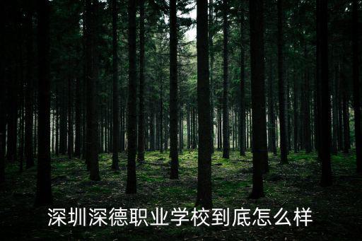 深圳深德職業學校到底怎么樣