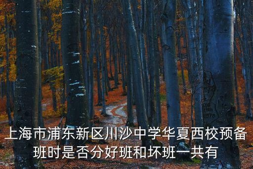 上海市川沙中學內高班，上海市浦東新區川沙中學華夏西校預備班時是否分好班和壞班一共有