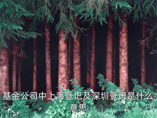 基金公司中上海登記及深圳登記是什么意思