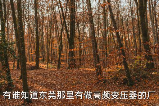 有誰知道東莞那里有做高頻變壓器的廠