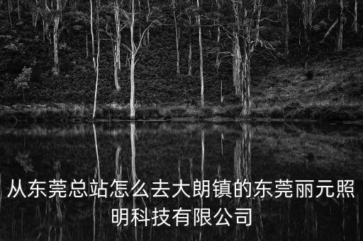 東莞市麗元照明有限公司，東莞最好的節能燈生產廠家叫什么名字