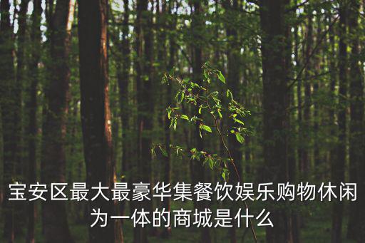 寶安區最大最豪華集餐飲娛樂購物休閑為一體的商城是什么