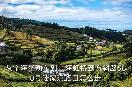 從寧海坐動(dòng)車(chē)到上海虹橋到方斜路588號(hào)陸家浜路口怎么走