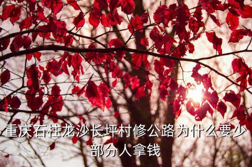 重慶石柱龍沙長坪村修公路為什么要少部分人拿錢