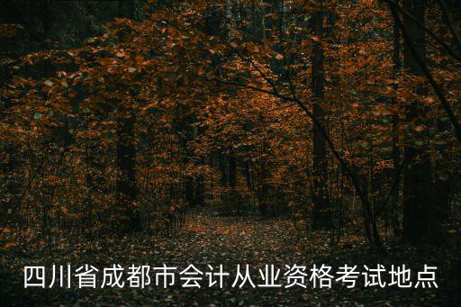 成都市會(huì)計(jì)資格審核點(diǎn)，四川省成都市會(huì)計(jì)從業(yè)資格考試地點(diǎn)