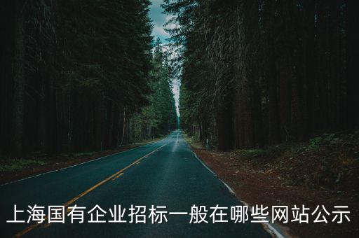 上海國有企業招標一般在哪些網站公示