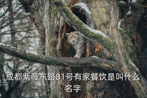 成都市榮樂園餐廳，成都多啦a夢主題餐廳消費