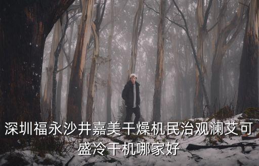 深圳福永沙井嘉美干燥機民治觀瀾艾可盛冷干機哪家好
