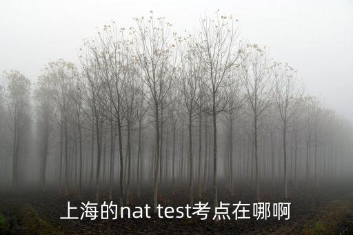 上海的nat test考點(diǎn)在哪啊