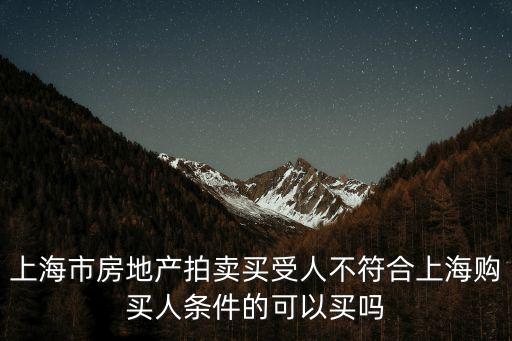 上海市房產拍賣，最近想拍套房子預算在500萬以內的上海有好的拍賣公司推薦嗎