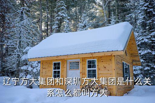 深圳市有方集團，深圳方大集團 怎么樣