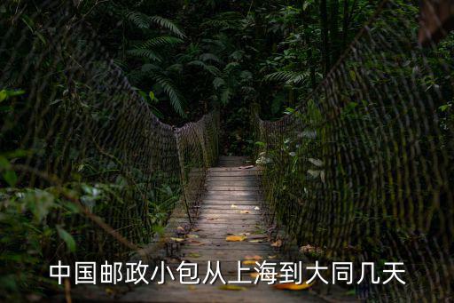 中國(guó)郵政小包從上海到大同幾天
