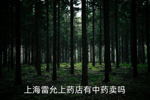 上海雷允上藥店有中藥賣嗎