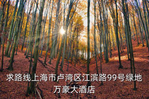 求路線上海市盧灣區(qū)江濱路99號綠地萬豪大酒店