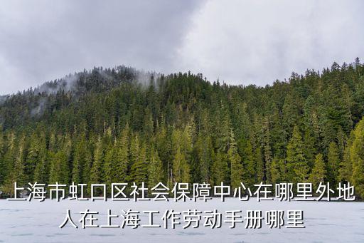 上海市虹口區社保補辦，上海市虹口區社會保險在哪里辦理