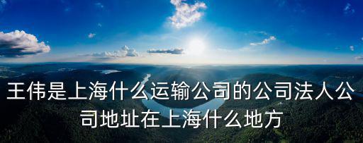 上海市政府王偉，上海市政府在哪個區