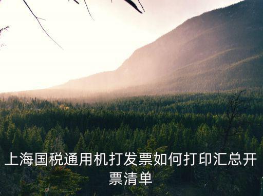 上海市發票明細，上海國稅通用機打發票如何打印匯總開票清單