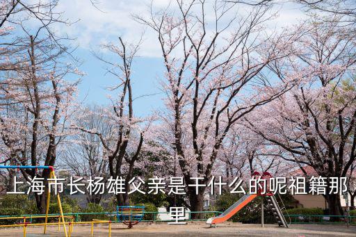 上海市長(zhǎng)楊雄父親是干什么的呢祖籍那里