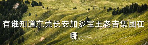 有誰知道東莞長安加多寶王老吉集團在哪