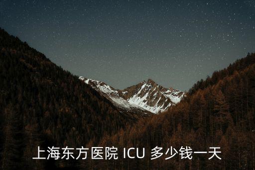上海東方醫院 ICU 多少錢一天