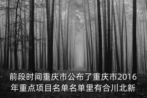 前段時間重慶市公布了重慶市2016年重點項目名單名單里有合川北新